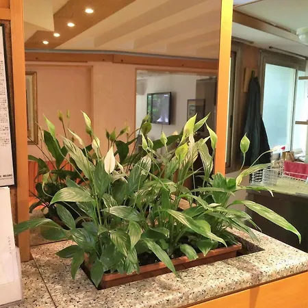 Citta Studi Otel 3*
